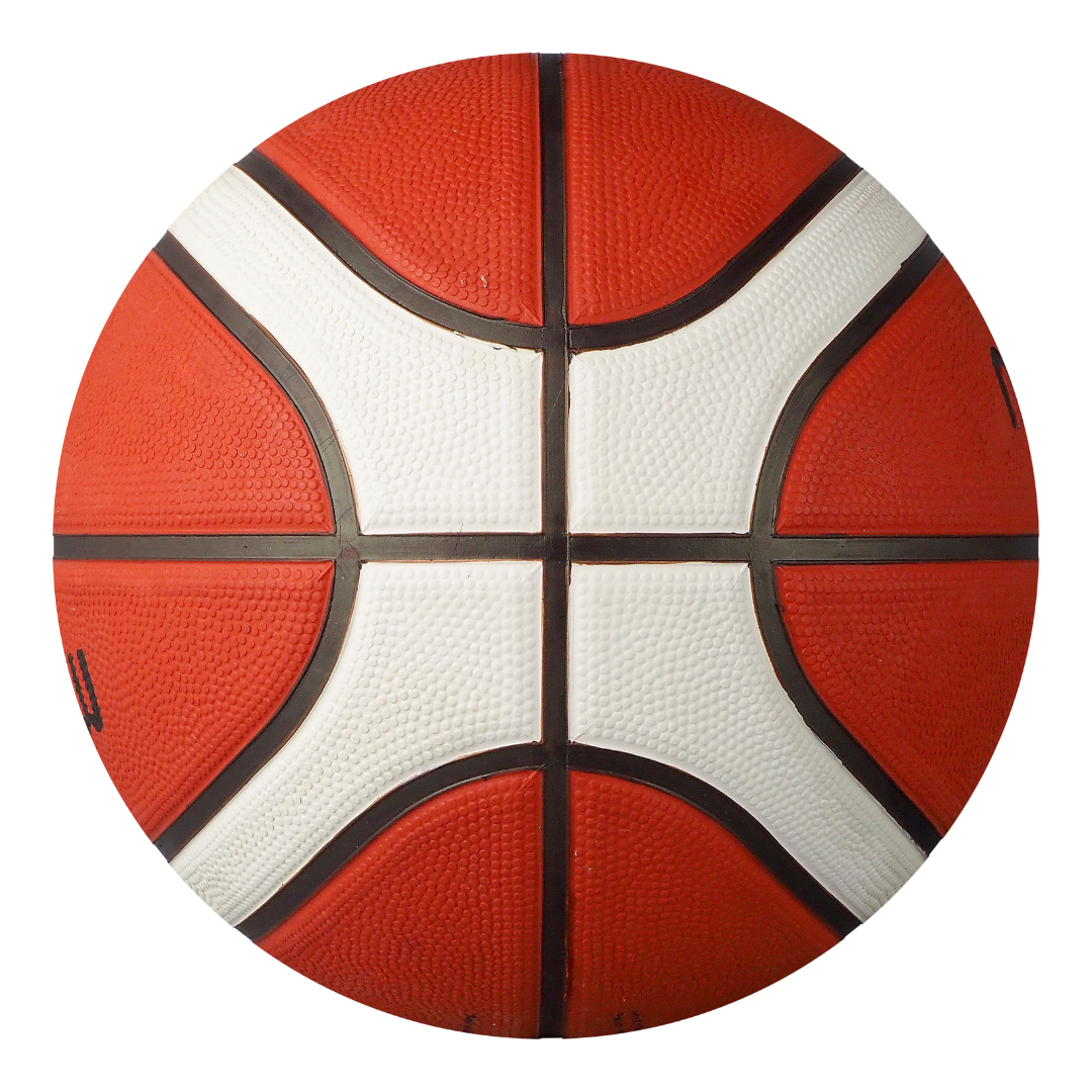 Molten BG2010 Basketball 12 Panel Rubber Deep Channel (Indoor & Outdoor)